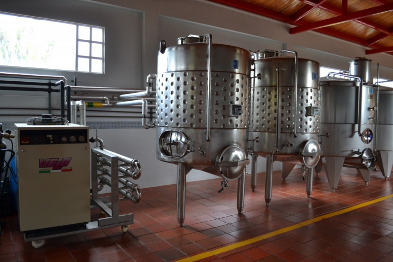 cave-SILLANS LA CASCADE-min_wine_production_cantine_winery_drink_alcohol_vine_beverage-902036